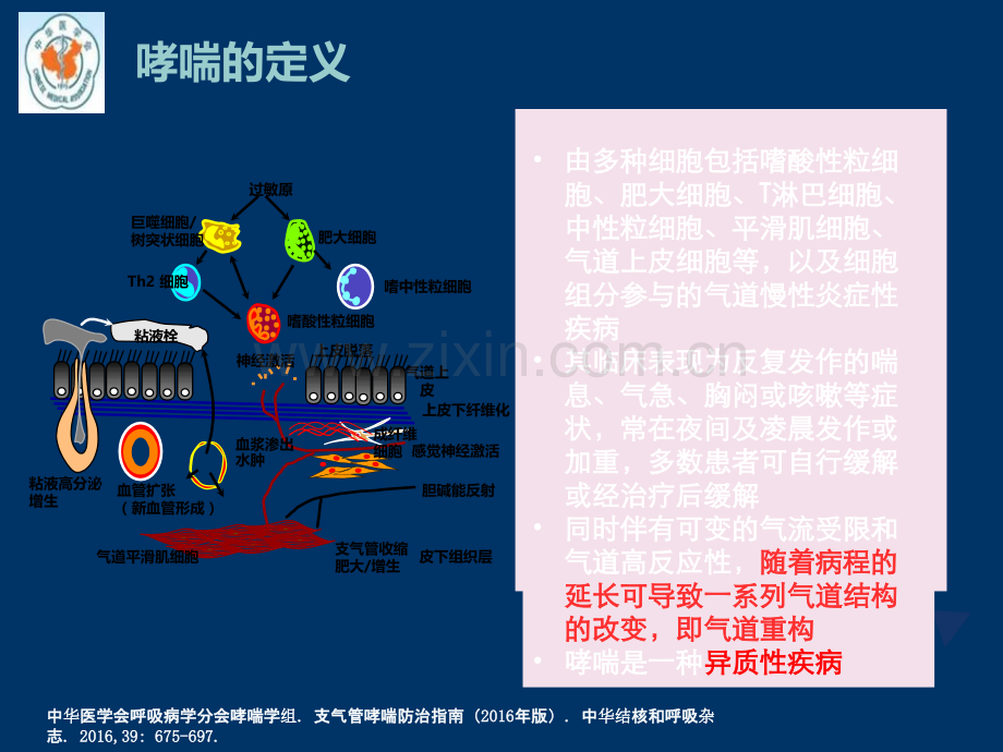 支气管哮喘的诊断ppt课件.pptx_第3页