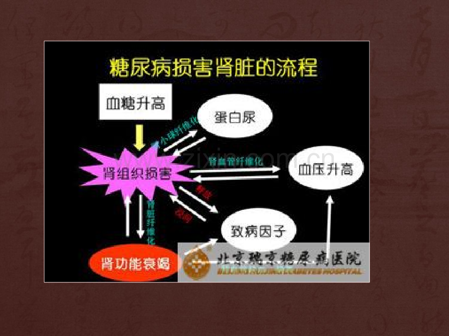 刘廷奎医生解读：糖尿病肾病病人的护理ppt课件.pptx_第3页