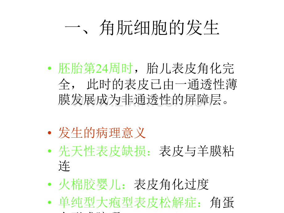 小儿皮肤病用药ppt.ppt_第3页