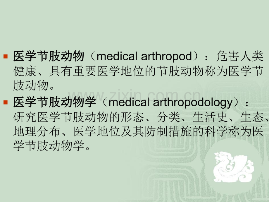 医学节肢动物概论PPT课件.ppt_第2页