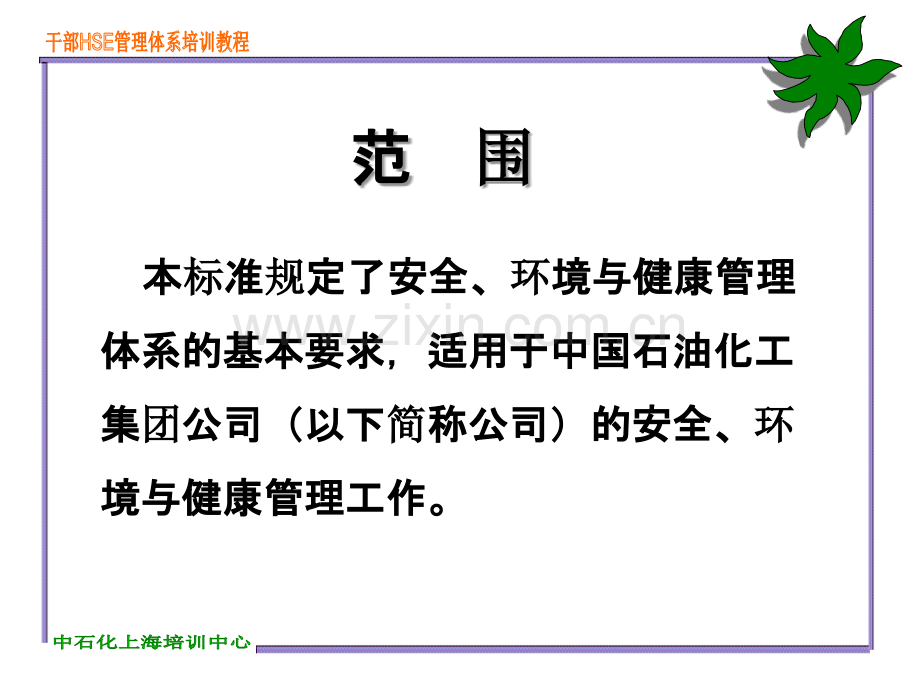 HSE管理体系培训教材PPT课件.ppt_第3页