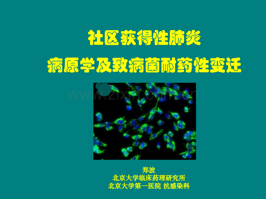 CAP病原学变迁ppt课件.ppt_第1页