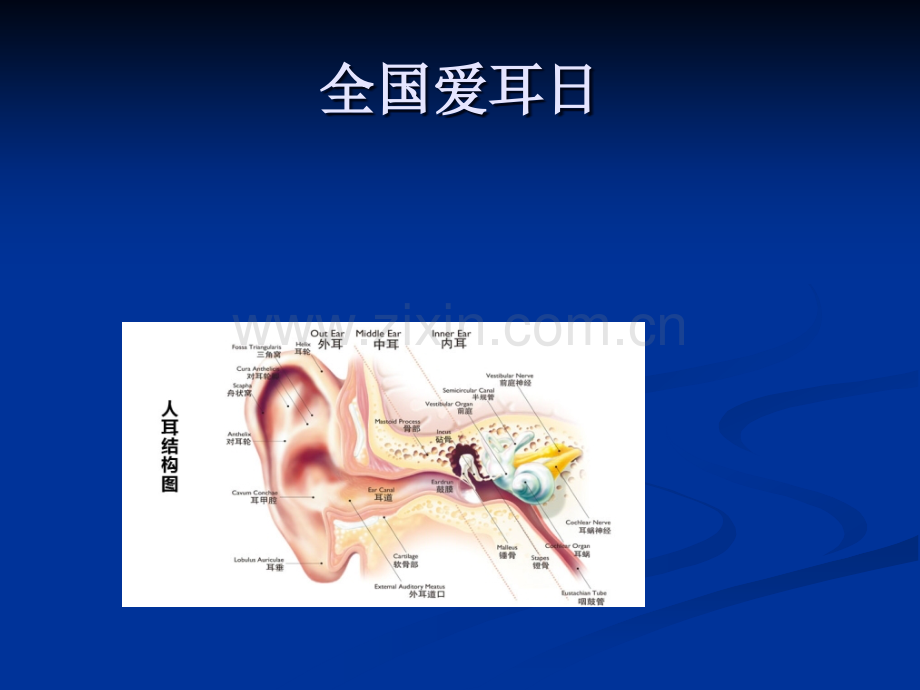 “关注儿童听力健康——·爱耳日”主题班会ppt课件.ppt_第1页