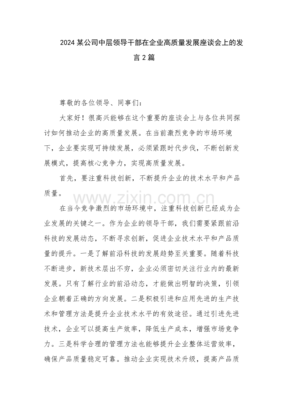 2024某公司中层领导干部在企业高质量发展座谈会上的发言2篇.docx_第1页