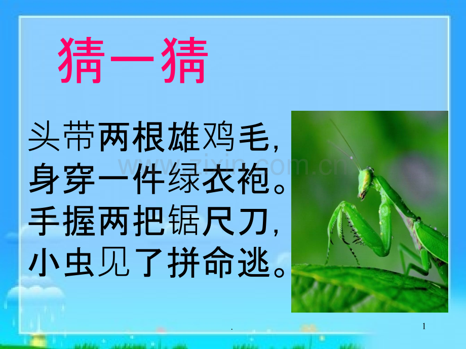 《昆虫记》课件95300.ppt_第1页