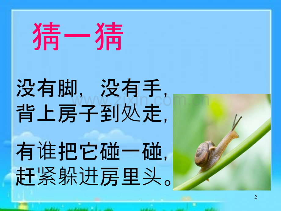 《昆虫记》课件95300.ppt_第2页