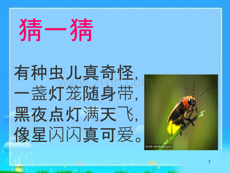 《昆虫记》课件95300.ppt_第3页