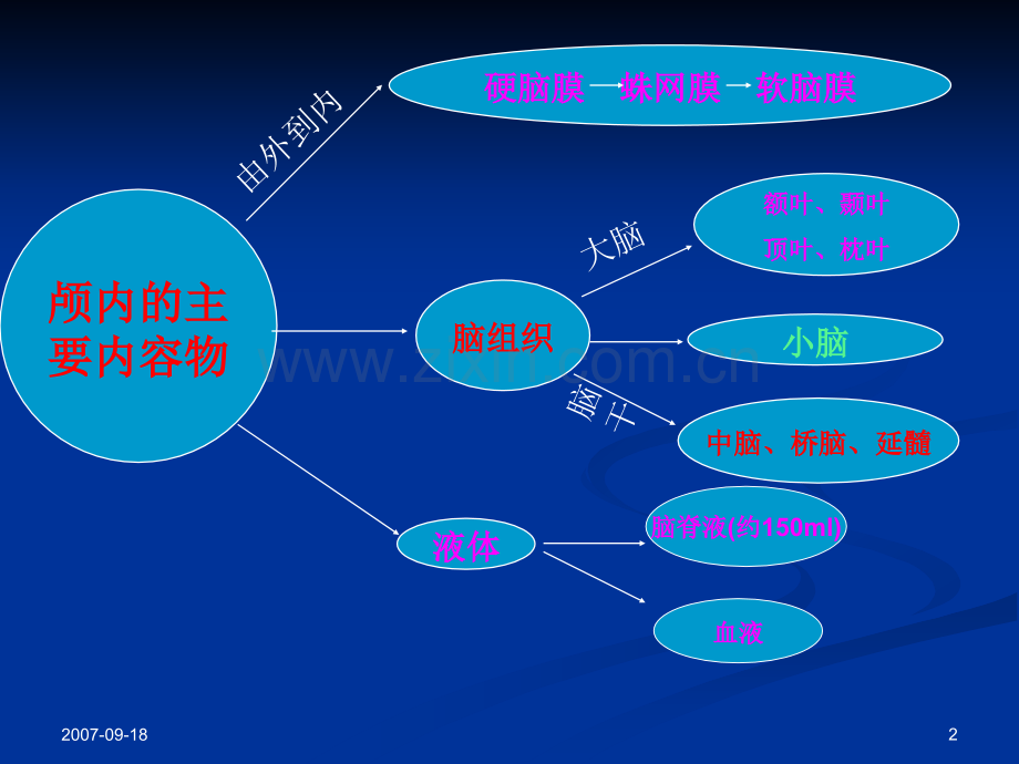 颅脑损伤.pptx_第2页