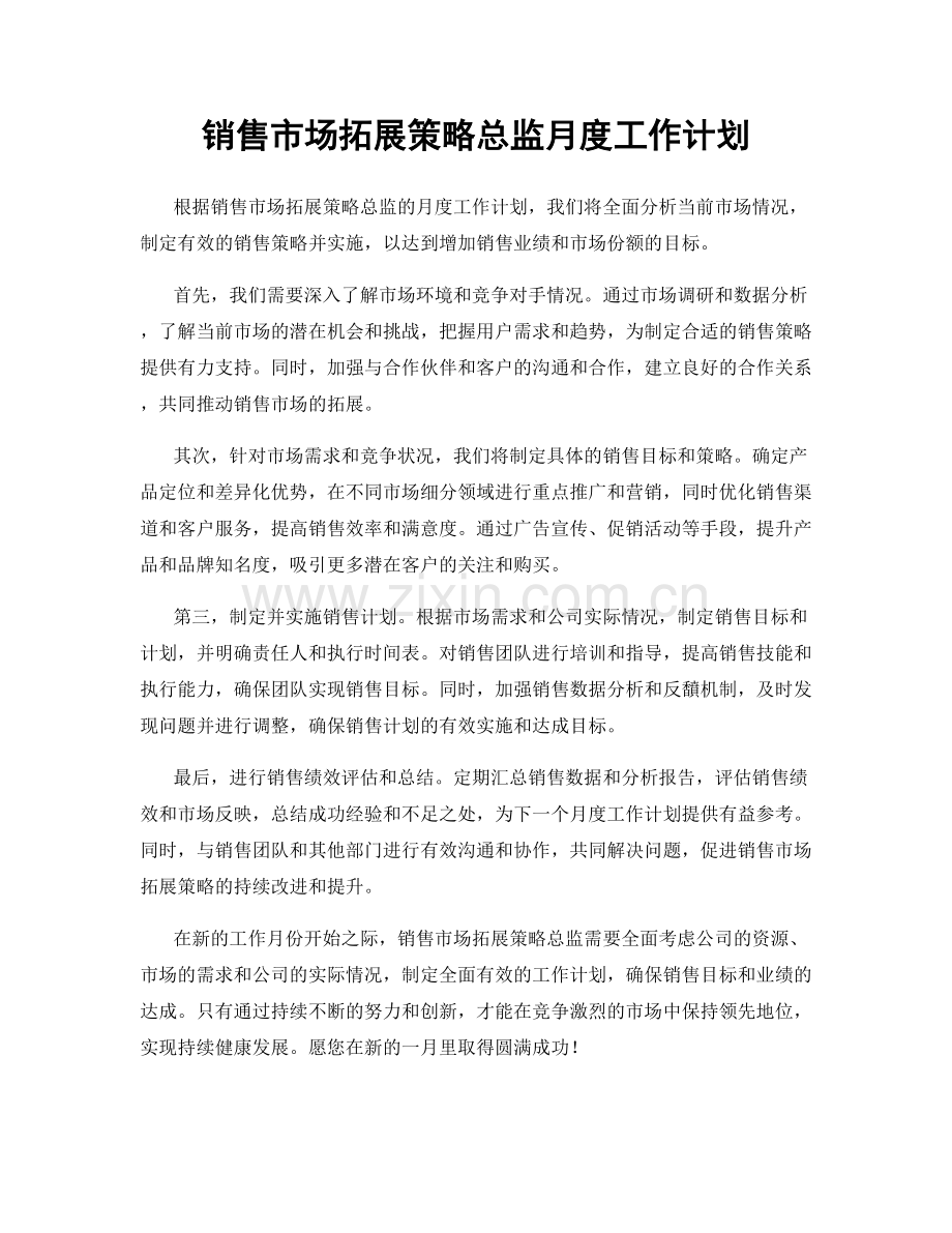 销售市场拓展策略总监月度工作计划.docx_第1页