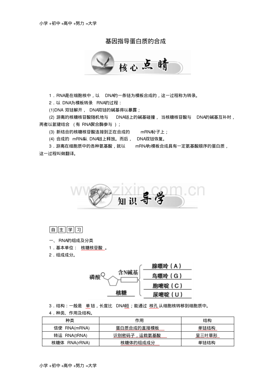 高中生物第4章第1节基因指导蛋白质的合成学案新人教版必修2.pdf_第1页