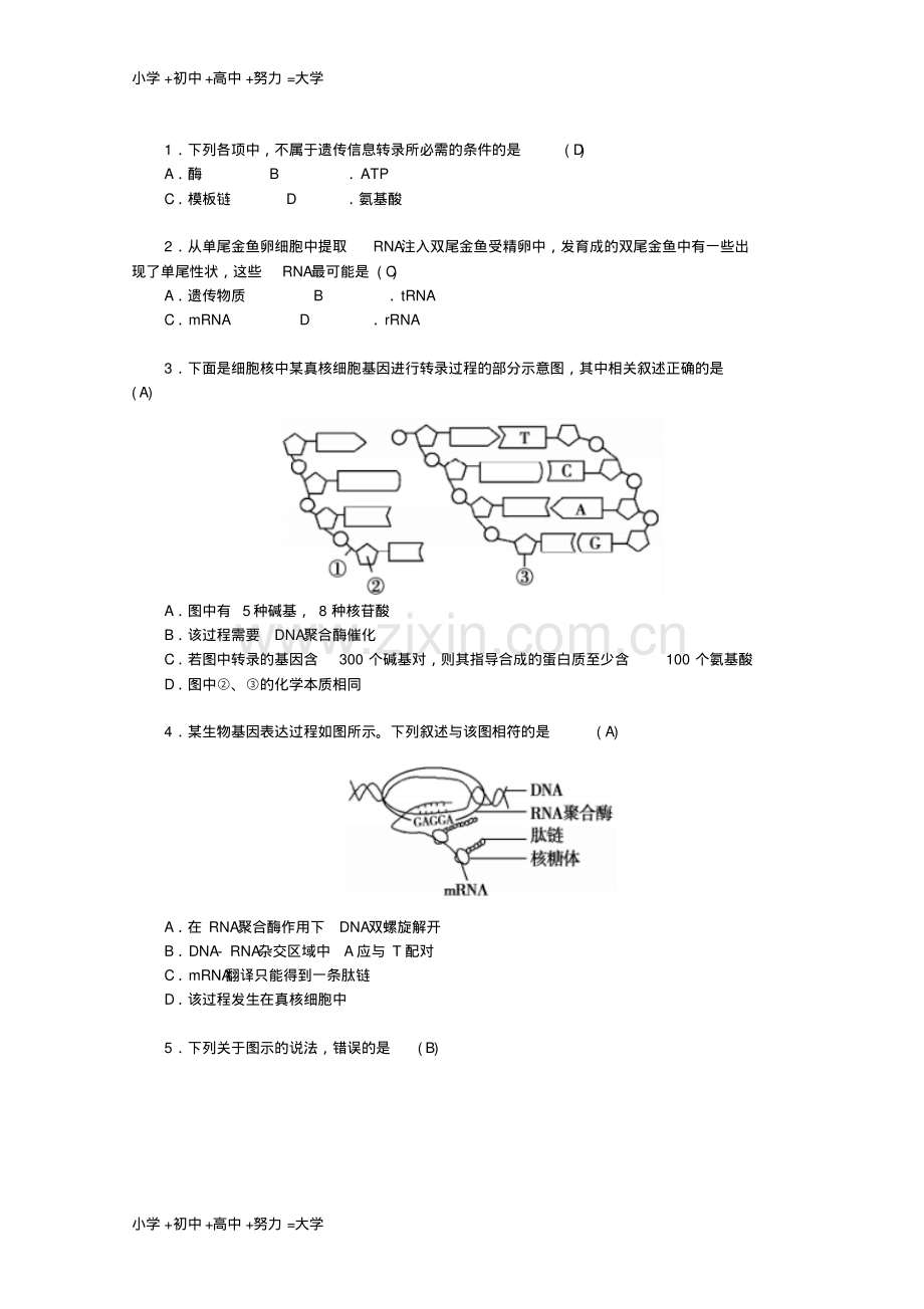 高中生物第4章第1节基因指导蛋白质的合成学案新人教版必修2.pdf_第3页