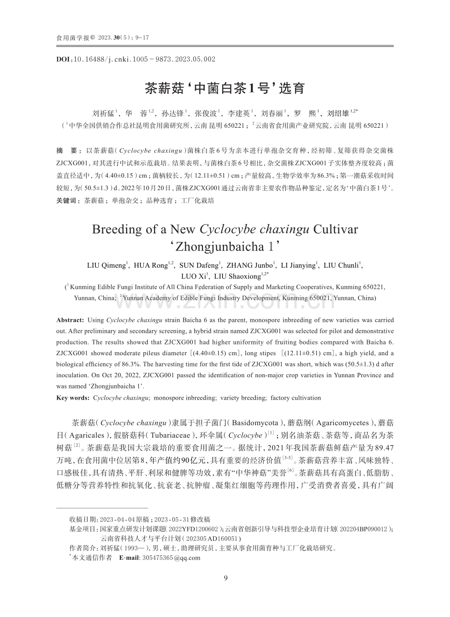茶薪菇‘中菌白茶1号’选育.pdf_第1页