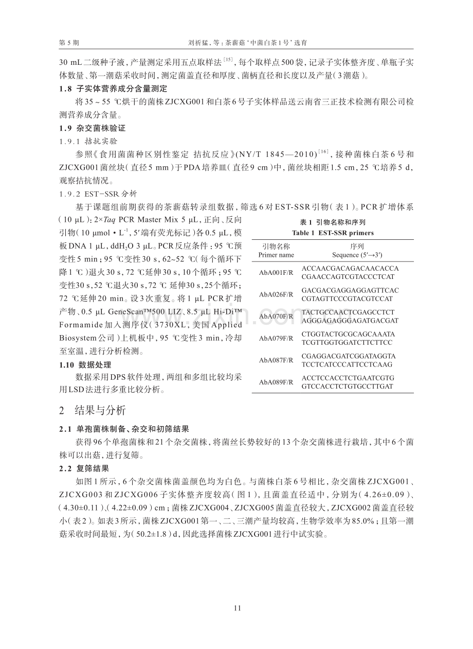 茶薪菇‘中菌白茶1号’选育.pdf_第3页