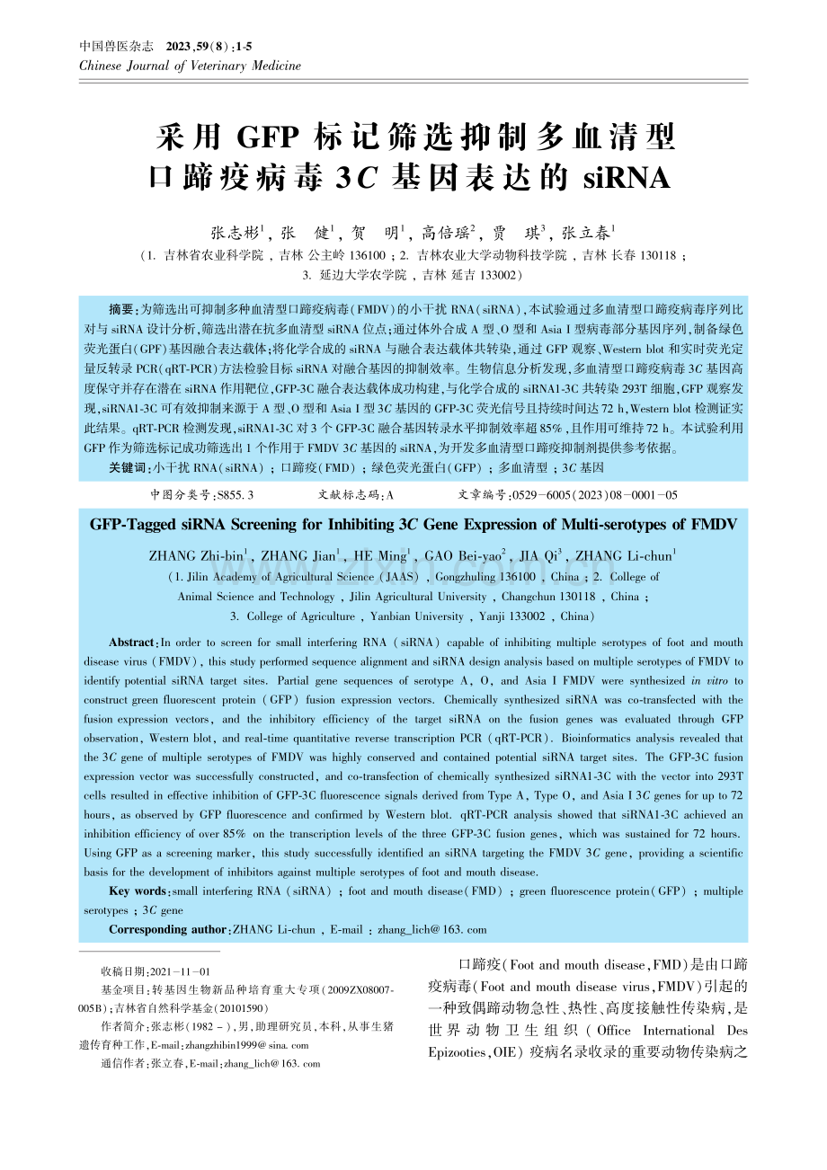 采用GFP标记筛选抑制多血清型口蹄疫病毒3C基因表达的siRNA.pdf_第1页