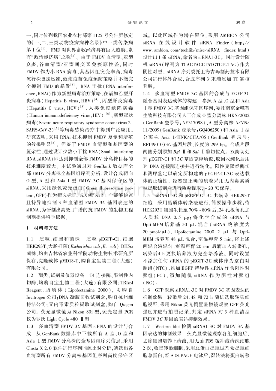 采用GFP标记筛选抑制多血清型口蹄疫病毒3C基因表达的siRNA.pdf_第2页