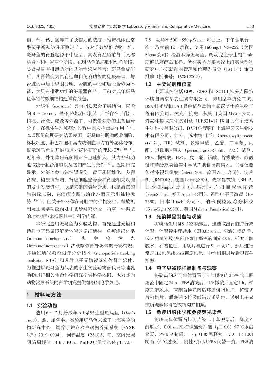 成年斑马鱼体肾的微细结构及其外泌体的分布鉴定.pdf_第3页