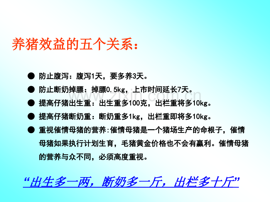 预混料销售中经济效益的分析.pptx_第2页