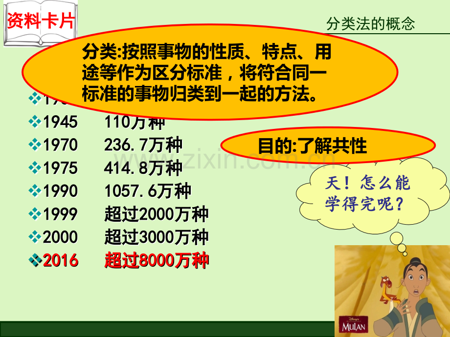 n物质的分类.pptx_第3页