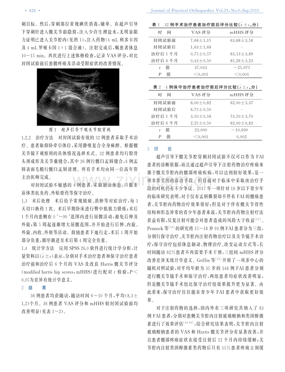 超声引导下髋关节腔穿刺封闭试验对髋关节撞击综合征的诊断价值.pdf_第2页