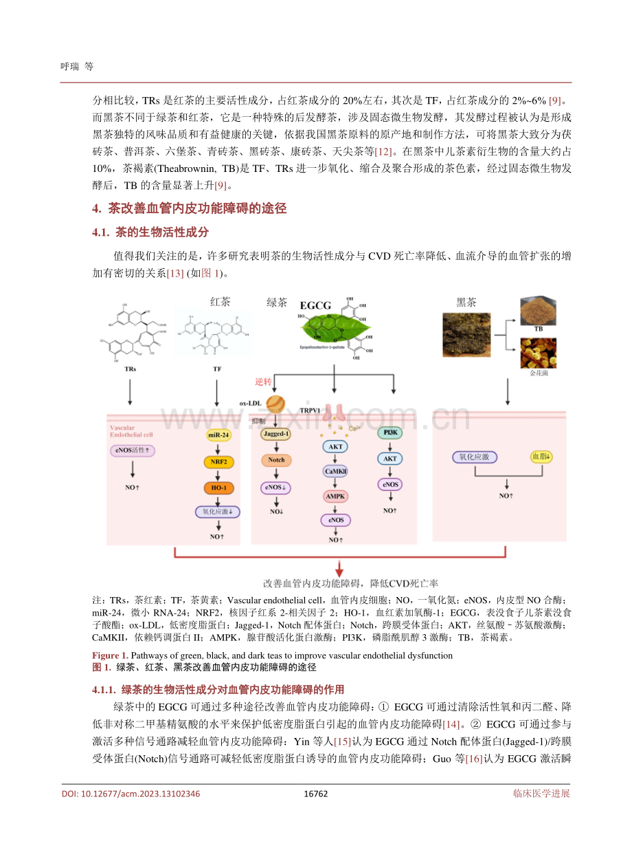 茶的生物活性成分对血管内皮功能障碍的影响.pdf_第3页