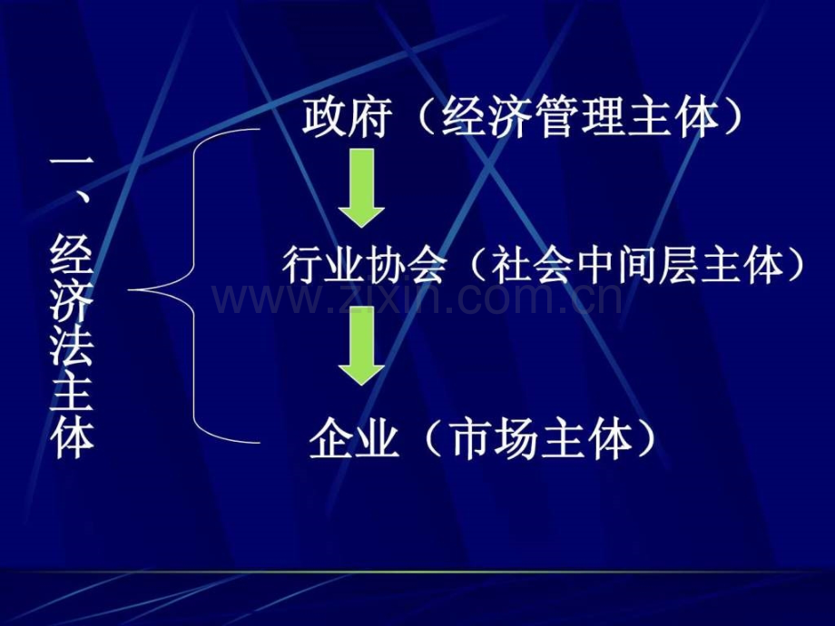 经济法经济法中的政府和企业.pptx_第1页