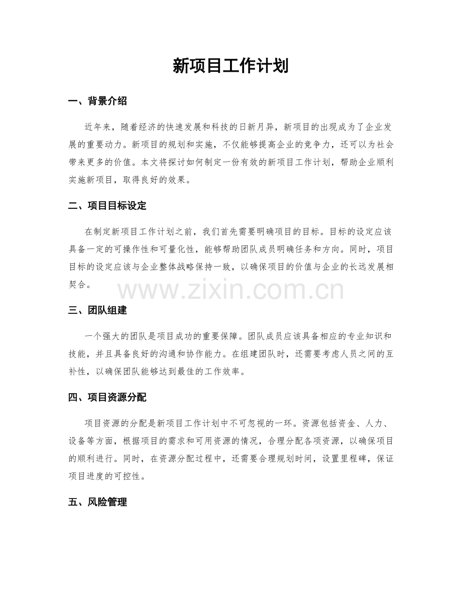 新项目工作计划.docx_第1页