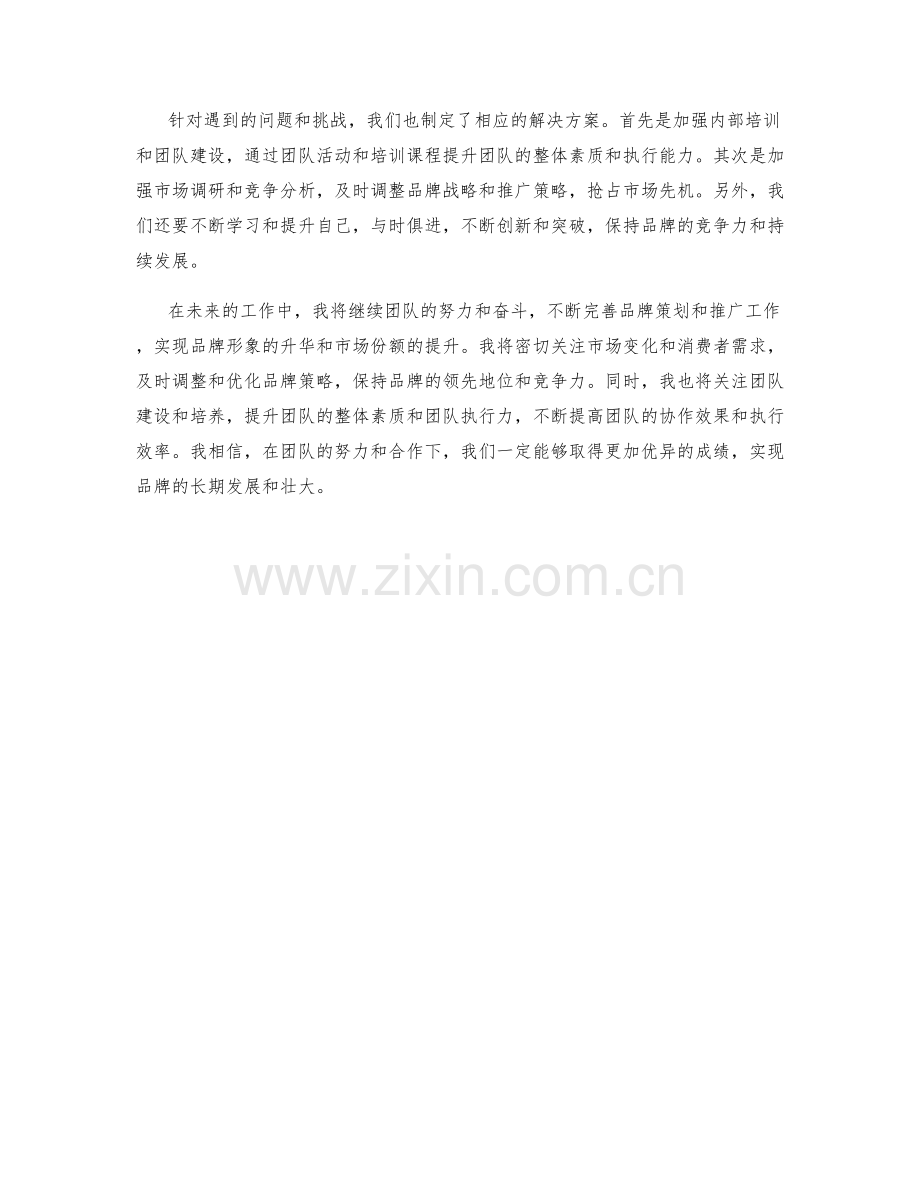 品牌策划总监季度工作总结.docx_第2页