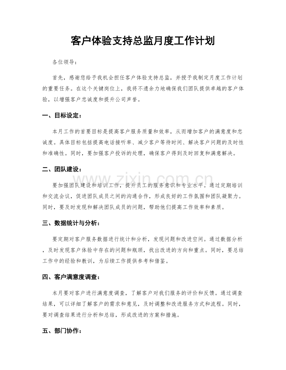 客户体验支持总监月度工作计划.docx_第1页