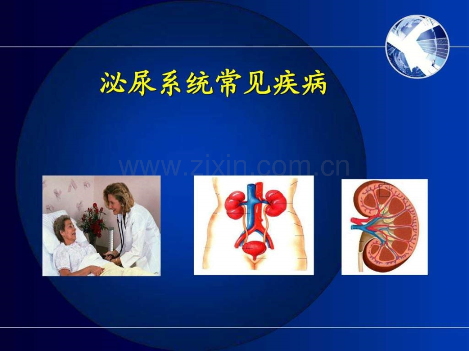 肾内科相关基础知识临床医学医药卫生专业资料.pptx_第1页