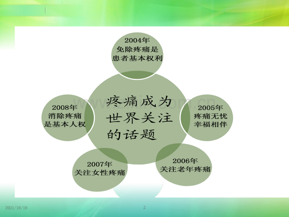 疼痛健康教育.ppt_第2页