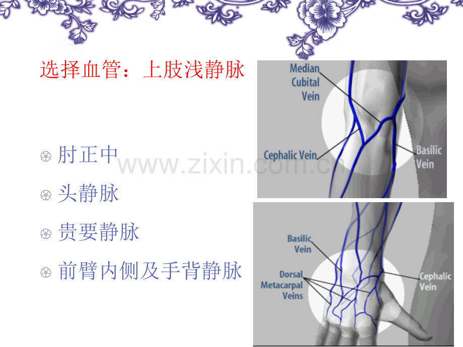 静脉采血及注意事项.ppt_第3页