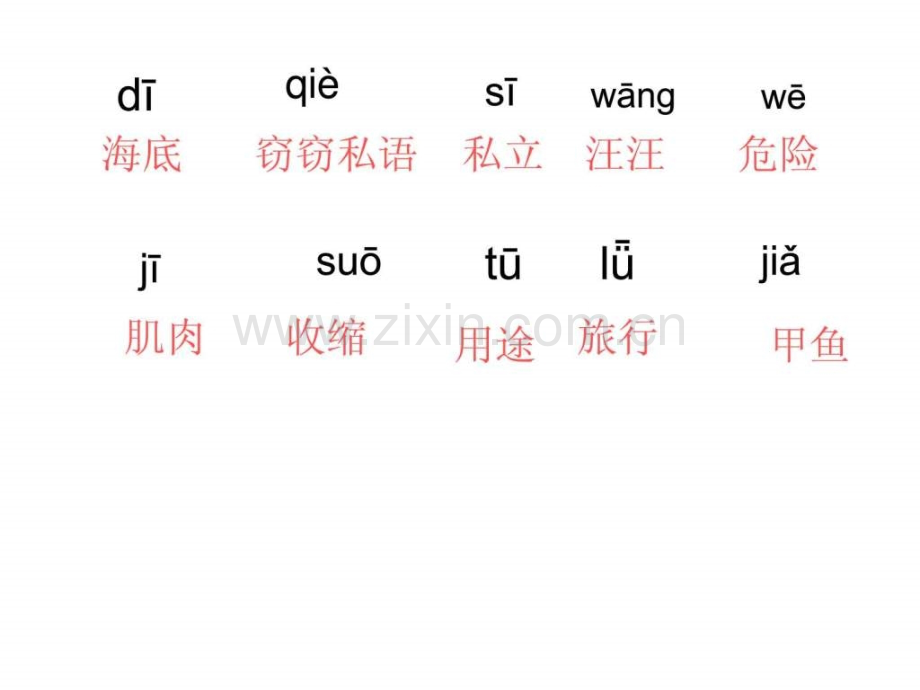 22海底世界课件1.pptx_第2页