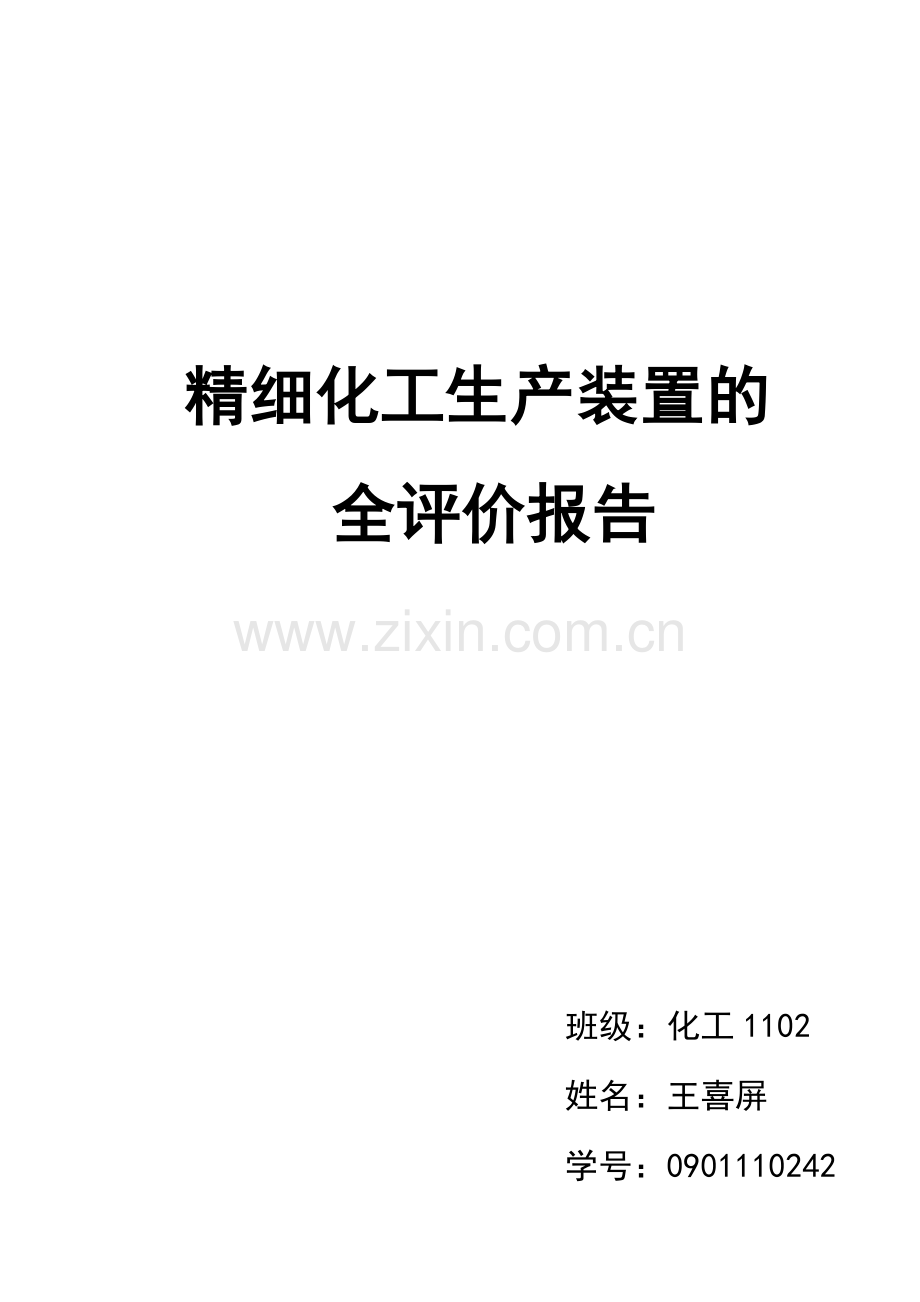 精细化工生产装置的安全评价报告.doc_第1页