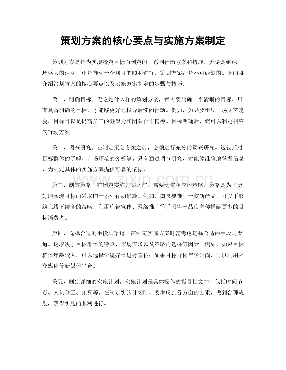 策划方案的核心要点与实施方案制定.docx_第1页