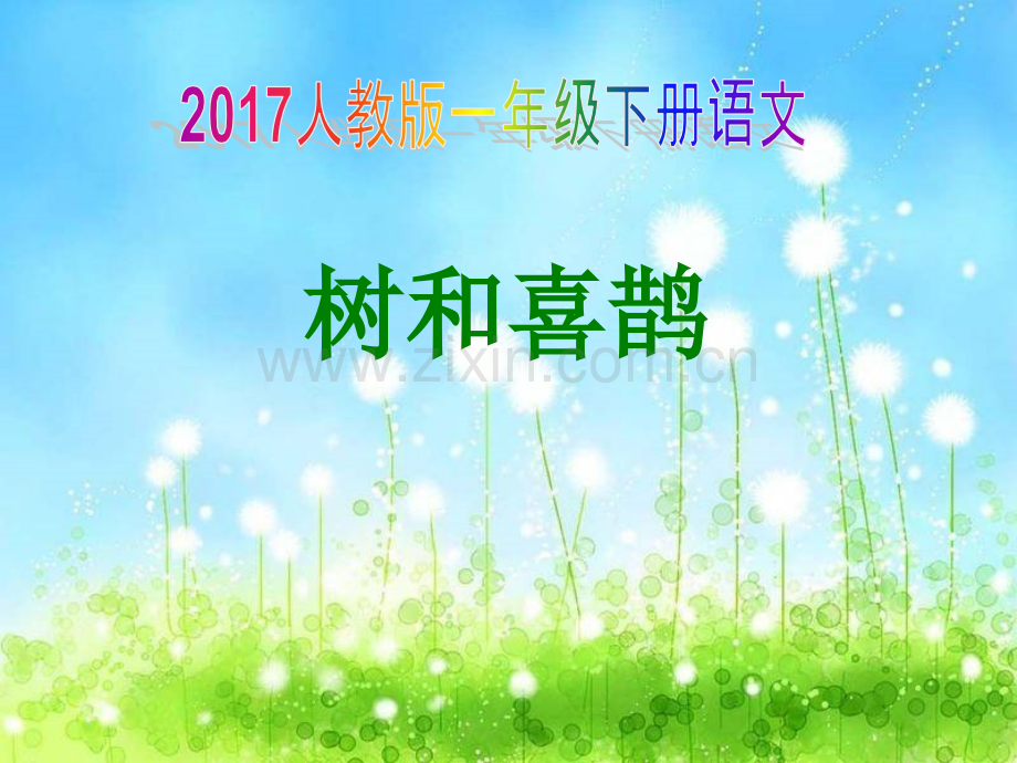 新人教部编版小学一级下册语文树和喜鹊.pptx_第1页