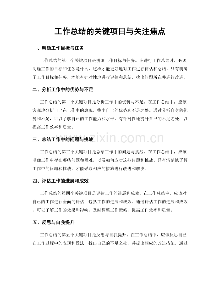 工作总结的关键项目与关注焦点.docx_第1页