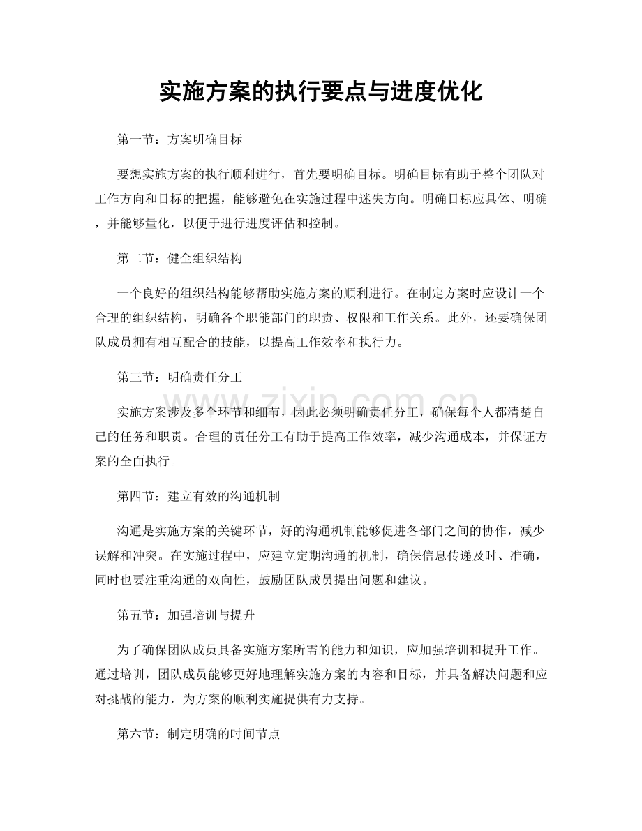 实施方案的执行要点与进度优化.docx_第1页