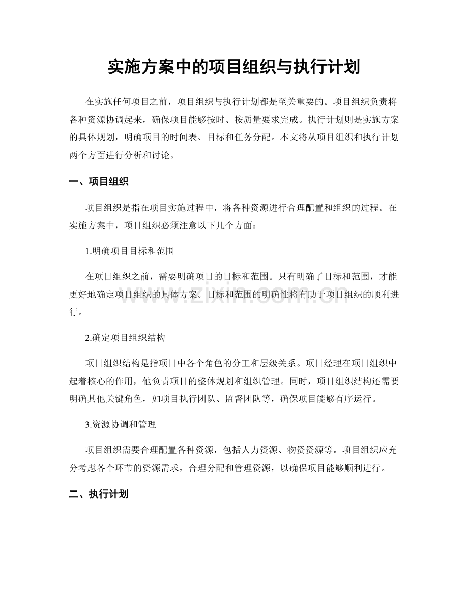 实施方案中的项目组织与执行计划.docx_第1页