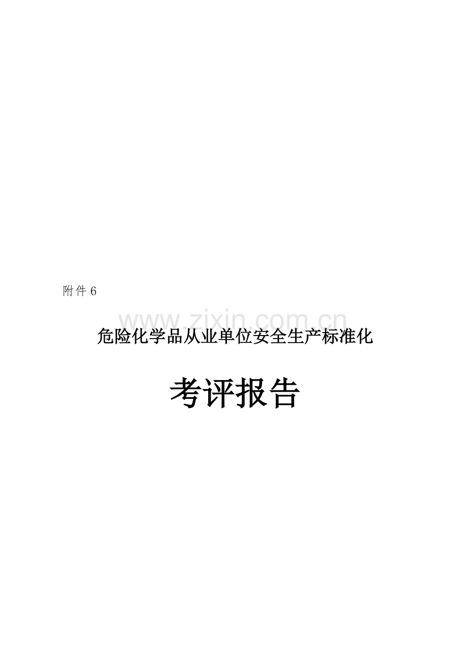 危险化学品从业单位安全生产标准化考评报告.doc_第3页