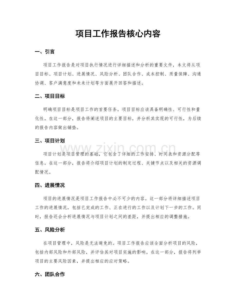 项目工作报告核心内容.docx_第1页