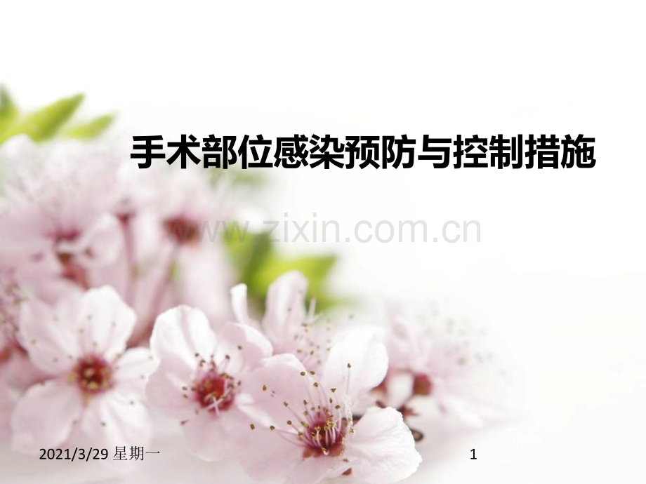 手术部位感染预防与控制措施.ppt_第1页