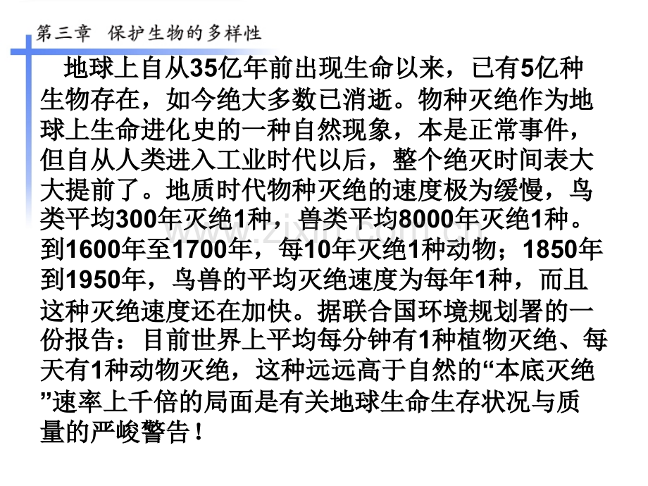 人教版八年级上册保护生物的多样性.pptx_第3页