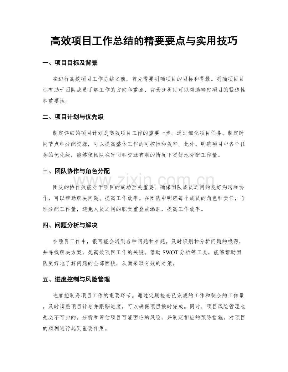 高效项目工作总结的精要要点与实用技巧.docx_第1页