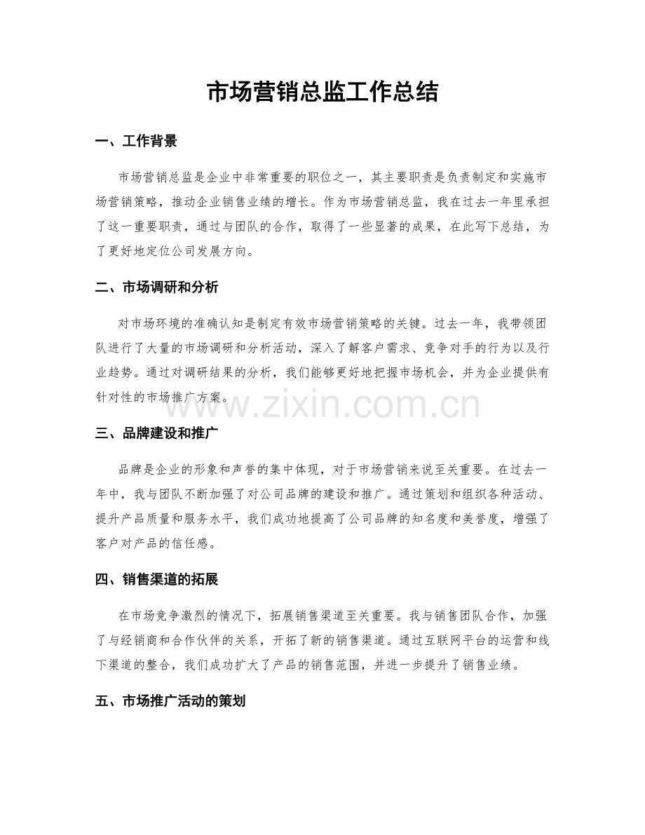 市场营销总监工作总结.docx_第1页