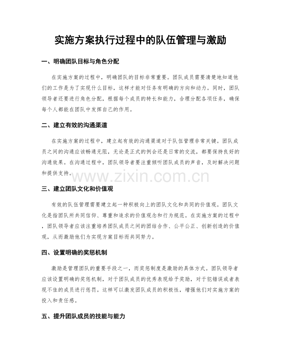 实施方案执行过程中的队伍管理与激励.docx_第1页