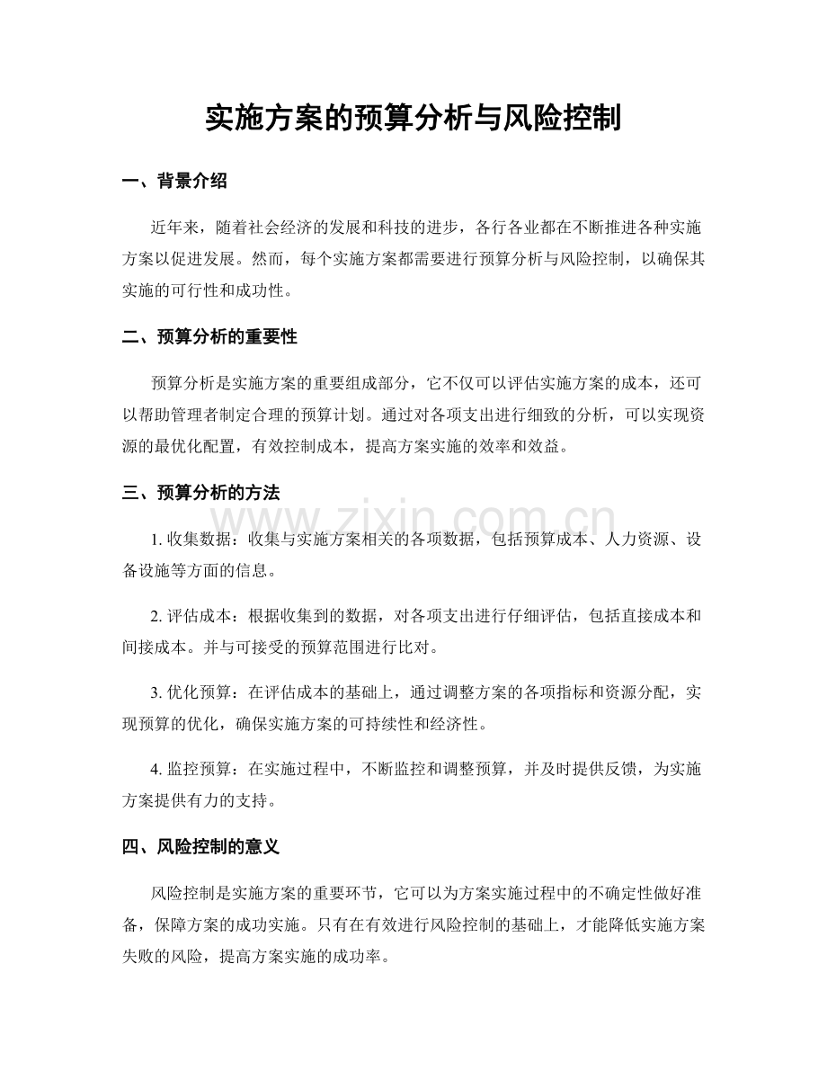 实施方案的预算分析与风险控制.docx_第1页