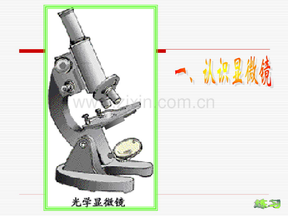 显微镜的结构及使用方法.pptx_第1页