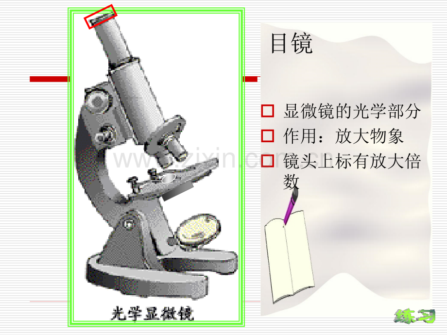 显微镜的结构及使用方法.pptx_第2页