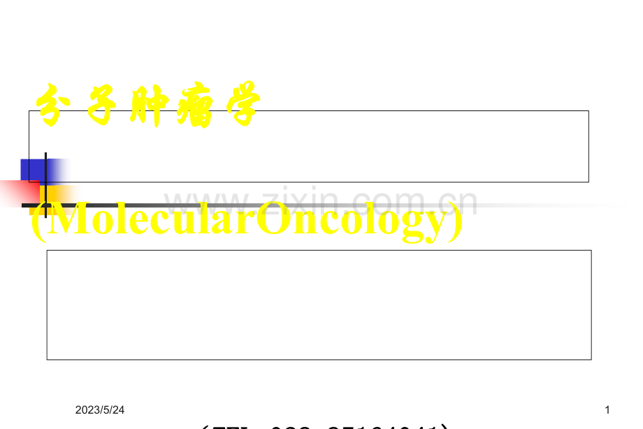 肿瘤分子生物学.ppt_第1页