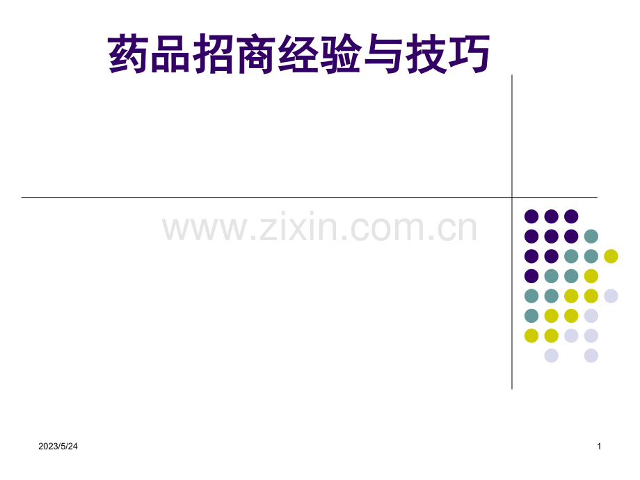 药品招商经验、技巧.ppt_第1页